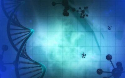 The impact of food on our genes