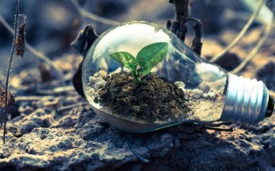 Part 1: A foundation for growth and improvement