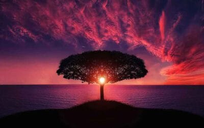 When we relax and calm down, we find ourselves – stressed!