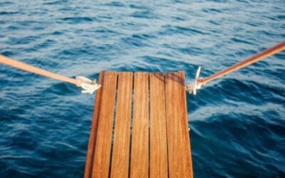 The crisis as a springboard (Part 1)