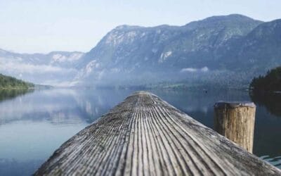 The crisis as a springboard (Part 2)