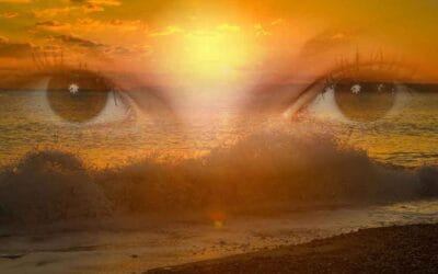 My reality is a reflection of my perception of the world