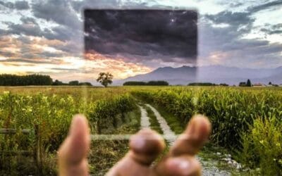 The fastest way to a real rebound and transformation? (Part 2)