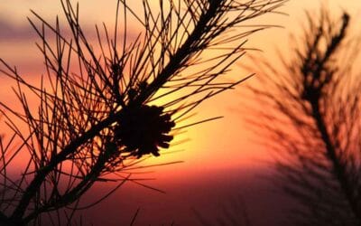 The way to yourself (interview with Boris Vene)