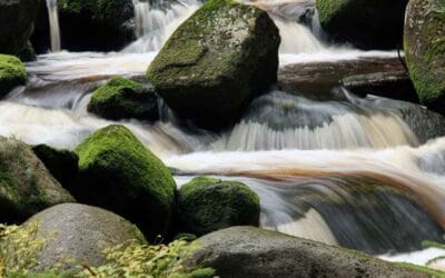 The solution to stress is not peace